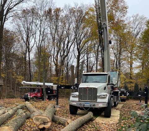 Weston CT Tree Services: Expert Hazardous Tree Removal and Large Tree Pruning